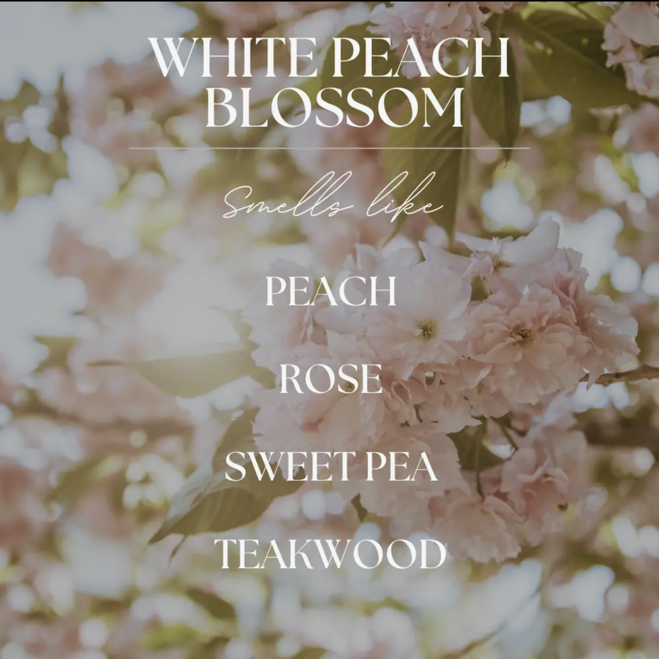 White Peach & Blossom Soy Candle